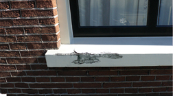 HOUTROTSTOP kaalkopie