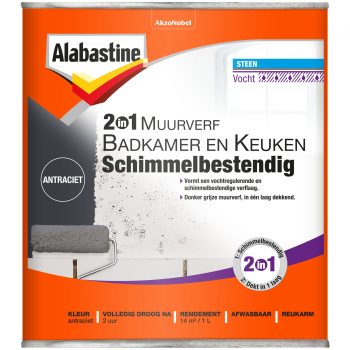 2in1 Muurverf B&K Antraciet (8710839114213) Thumbnail