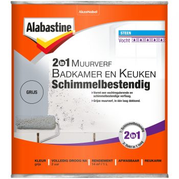 2in1 Muurverf B&K Grijs (8710839114206) Thumbnail
