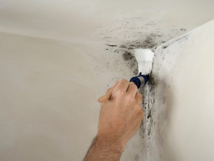 aanbrengen 2-in-1 Muurverf Badkamer en Keuken Schimmelbestendig op beschimmelde muur Thumbnail