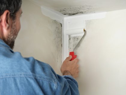 met roller aan brengen van 2-in-1 Muurverf Badkamer en Keuken Schimmelbestendig op beschimmelde badkamermuur Thumbnail