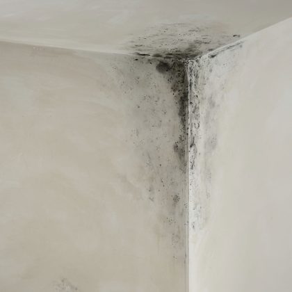 schimmel op witte badkamermuur Thumbnail
